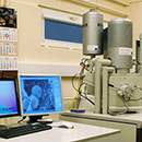Zdjęcie: 
               Wydziałowe Laboratorium Mikroskopii Skaningowej i Mikroanalizy